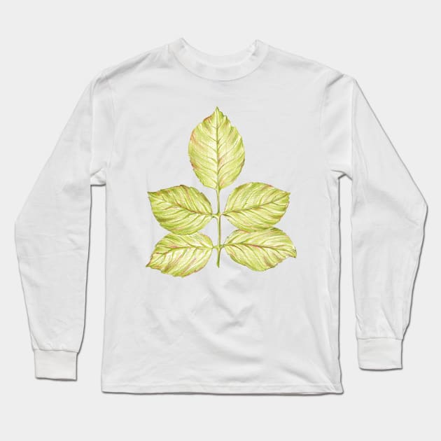 Green rose leaf Long Sleeve T-Shirt by lisenok